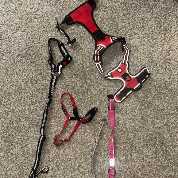 Small dog harnesses, leashes, and collars - Picture 1 of 3